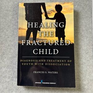 Healing the Fractured Child Book